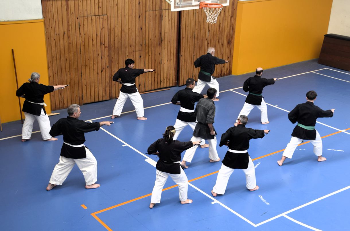 Grupo practicando técnicas en un pabellón, fotografía del sitio de Fudoshin